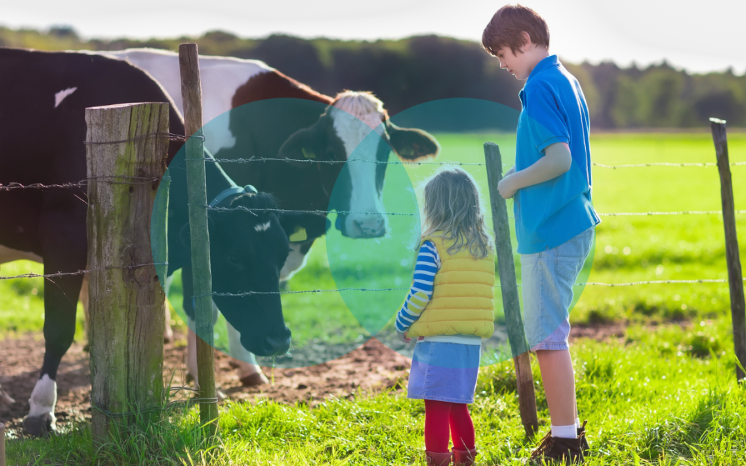 Two children at a family run farm looking at a field of cows
